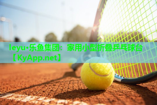 家用小型折叠乒乓球台 家用小型折叠乒乓球台