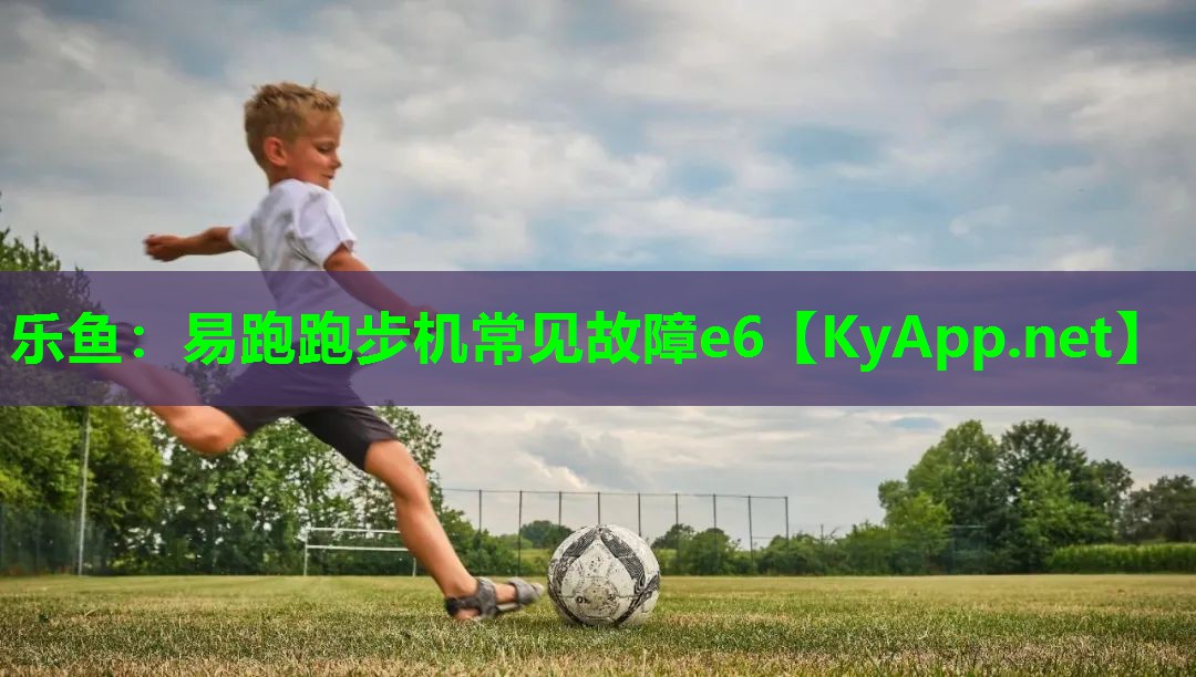 易跑跑步机常见故障e6 易跑跑步机常见故障e6